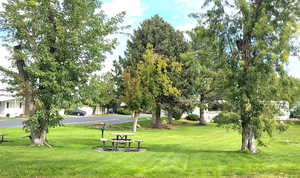 View of home's community featuring a picnic area right across the street