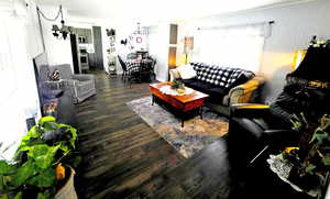 Open Concept Living Area