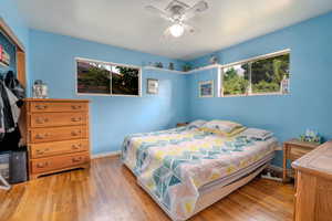 Bedroom with hardwood / wood-style flooring, a closet, and multiple windows