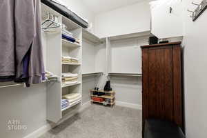 Walk in closet with light carpet