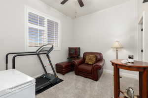 Exercise room featuring light carpet and ceiling fan
