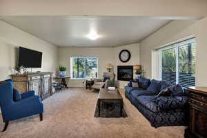 Living room with a glass covered fireplace and carpet