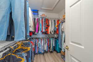 Spacious primary closet with light wood-style flooring and attic access