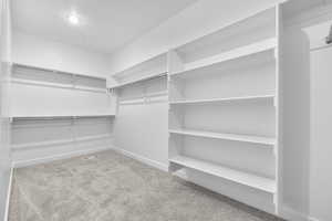 Spacious closet featuring light carpet