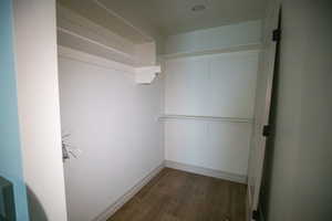 Walk in closet featuring dark wood finished floors