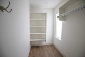 Walk in closet with dark wood-style floors