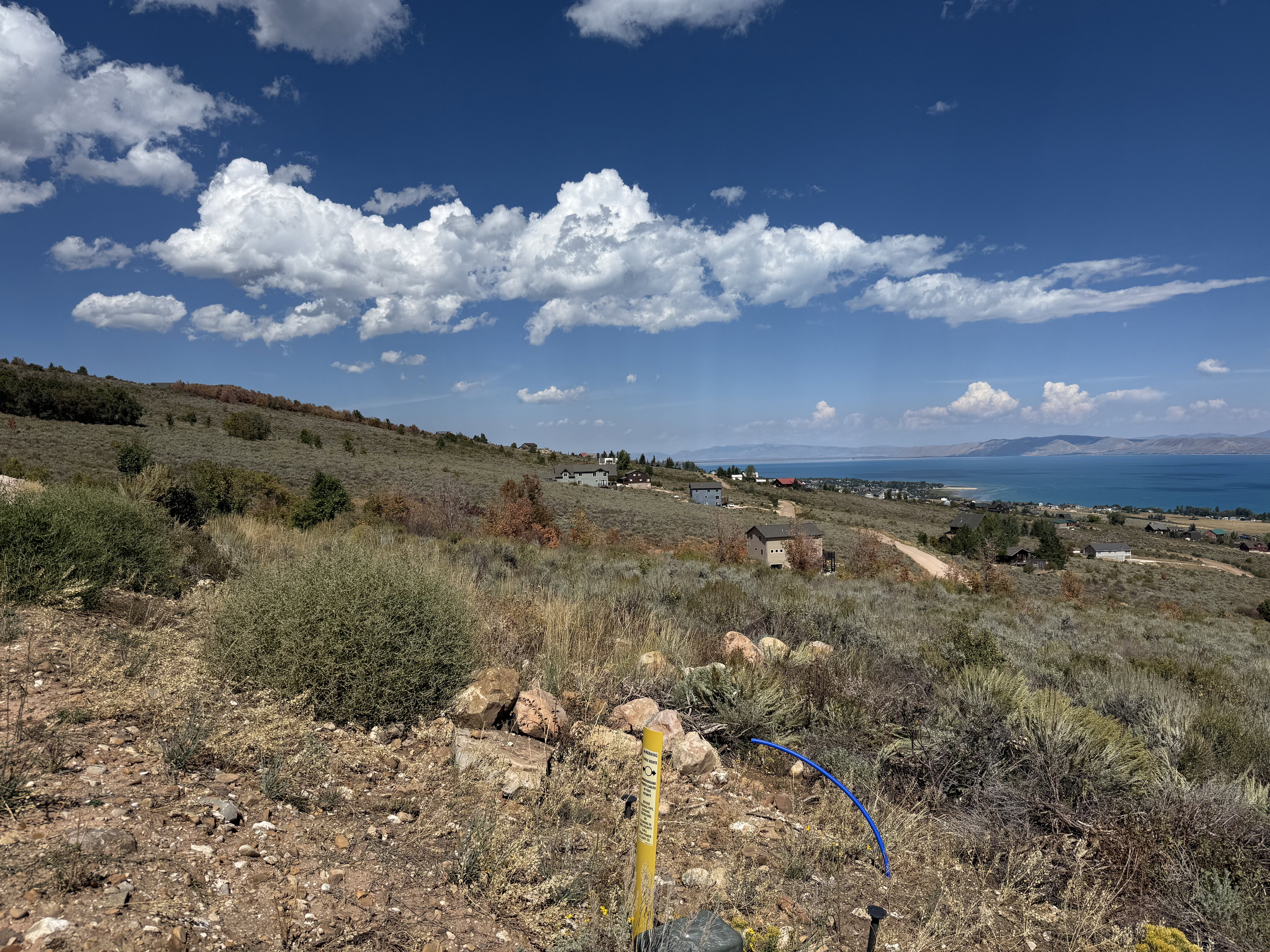 View of local wilderness with a large body of water
