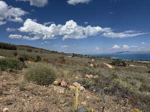 View of local wilderness with a large body of water