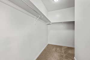 Walk in closet with light colored carpet