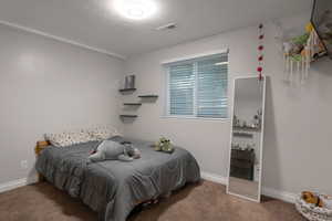 Carpeted bedroom with baseboards and a textured ceiling