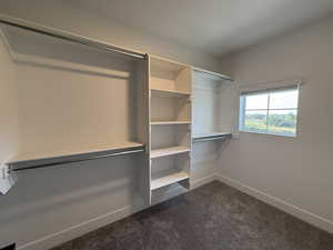 Walk in closet featuring dark colored carpet