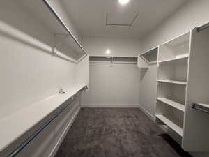 Spacious closet featuring dark colored carpet and attic access