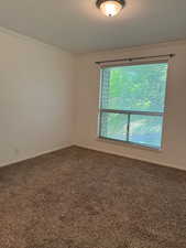 Carpeted spare room featuring baseboards and ornamental molding