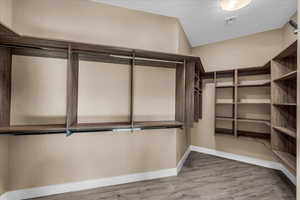Walk in closet featuring light wood finished floors