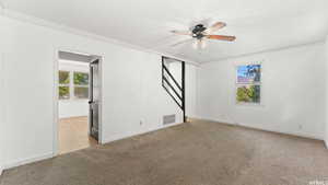 Empty room featuring healthy amount of natural light, light carpet, a textured ceiling, and a ceiling fan