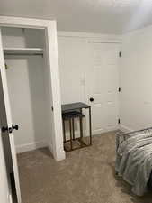 Bedroom featuring carpet floors, a textured ceiling, and a closet