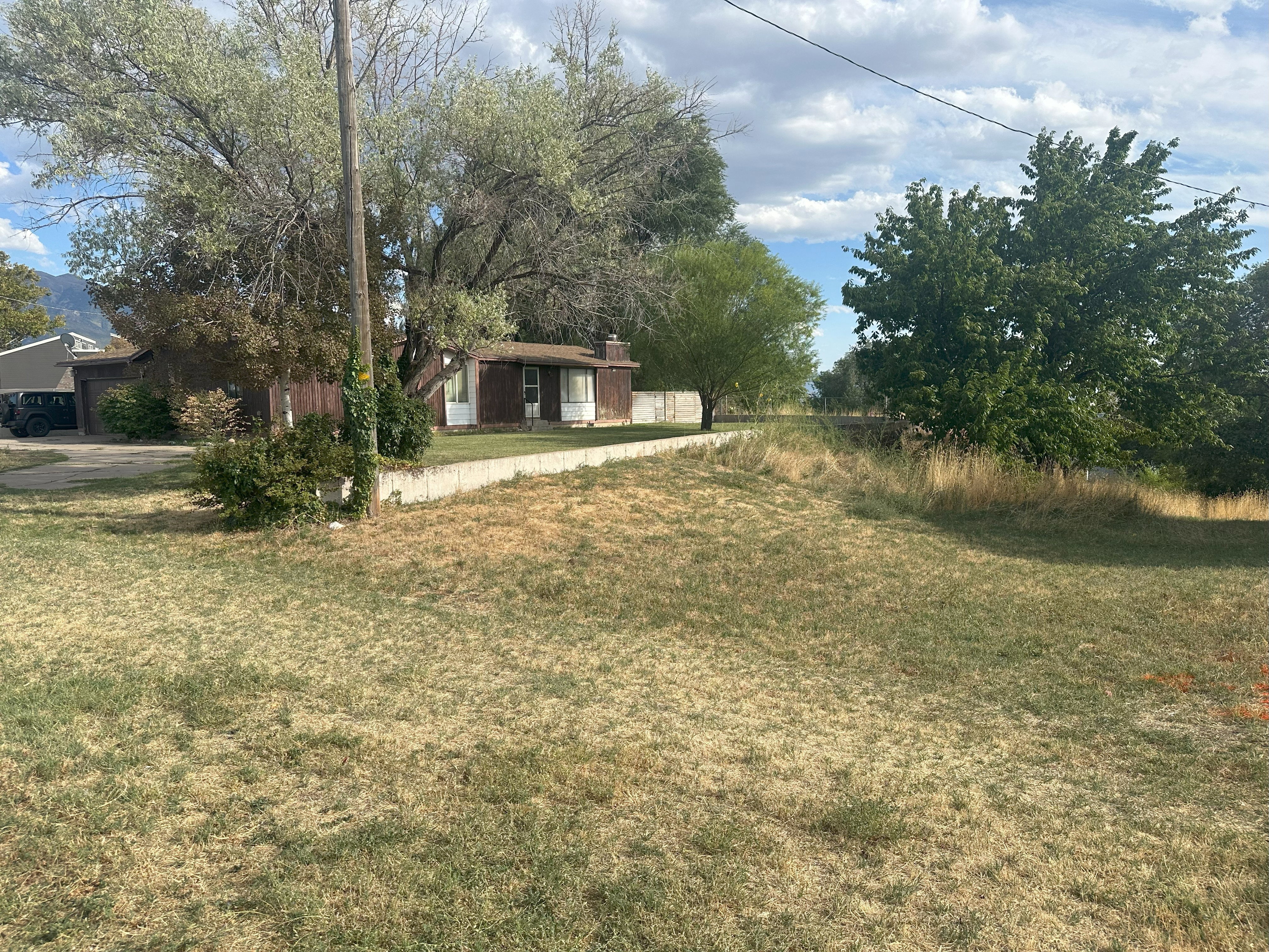 View of grassy yard