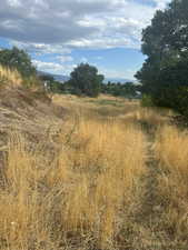 View of local wilderness featuring rural landscape