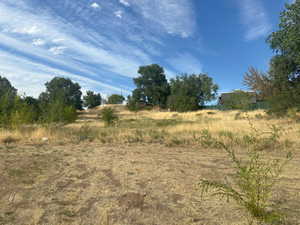 View of local wilderness with rural landscape
