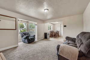 Living area with light carpet and a textured ceiling