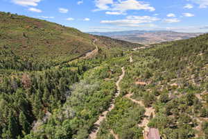Mountain view featuring a forest