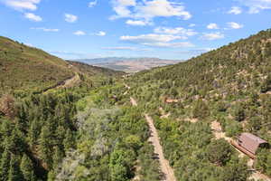 View of mountain backdrop with a heavily wooded area