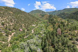 View of mountain background featuring a heavily wooded area