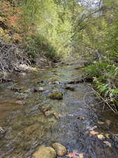 Birch Creek on property site