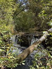 Birch Creek on property site