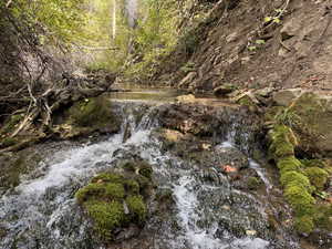 Birch Creek on property site