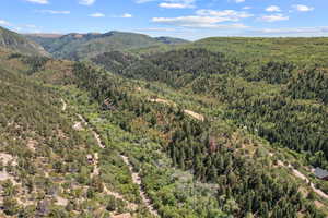 View of mountain backdrop with a forest