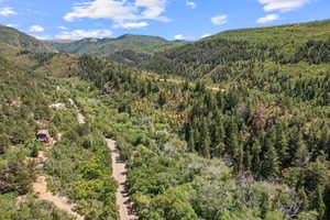 View of mountain backdrop with a forest