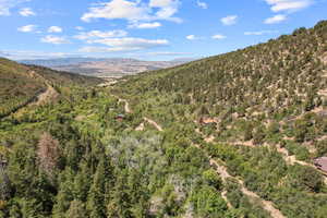 View of mountain backdrop with a forest