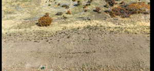 View of nature featuring rural landscape