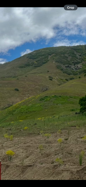 View of mountain backdrop featuring rural landscape