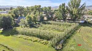 View of rural area featuring a mountainous background and abundant farmland