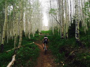 Surrounding community featuring a view of trees