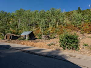 View of asphalt road with a forest view