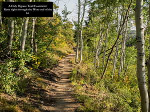View of road featuring a view of trees
