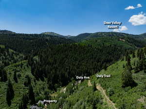 Aerial overview of property's location with a mountainous background and a heavily wooded area