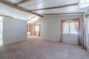 Unfurnished room featuring plenty of natural light, light carpet, and a ceiling fan
