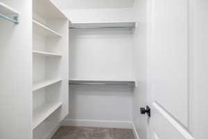 Spacious closet featuring light carpet
