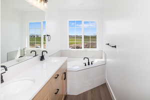 Bathroom with a garden tub, dark wood-type flooring, and double vanity