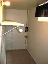 Laundry area with dark colored carpet