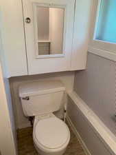 Bathroom featuring dark wood-type flooring and toilet