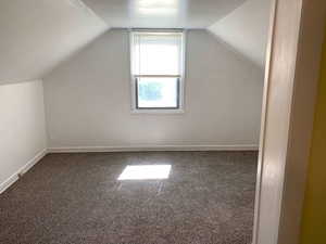 Additional living space featuring carpet floors and vaulted ceiling