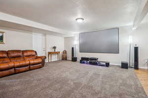 Cinema room featuring a textured ceiling and light carpet