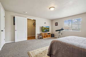 Bedroom with carpet floors and a textured ceiling