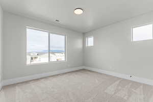 Spare room with carpet floors and healthy amount of natural light