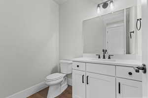 Bathroom with dark wood-type flooring and vanity